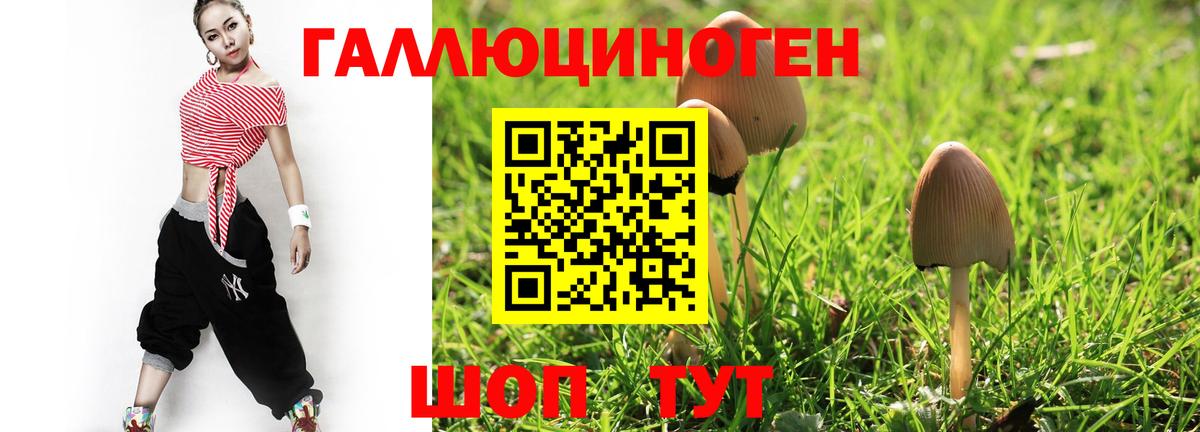 Краснотурьинск  Псилоцибиновые грибы прущие грибы  закладка  Галлюциногенные грибы GOLDEN TEACHER  Вход с VPN 